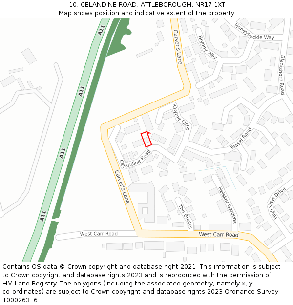 10, CELANDINE ROAD, ATTLEBOROUGH, NR17 1XT: Location map and indicative extent of plot