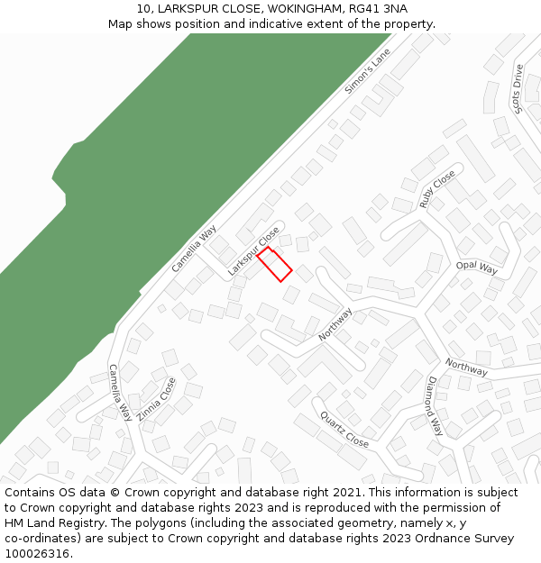 10, LARKSPUR CLOSE, WOKINGHAM, RG41 3NA: Location map and indicative extent of plot