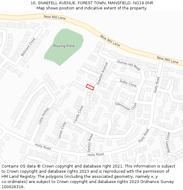10, SNAEFELL AVENUE, FOREST TOWN, MANSFIELD, NG19 0NR: Location map and indicative extent of plot
