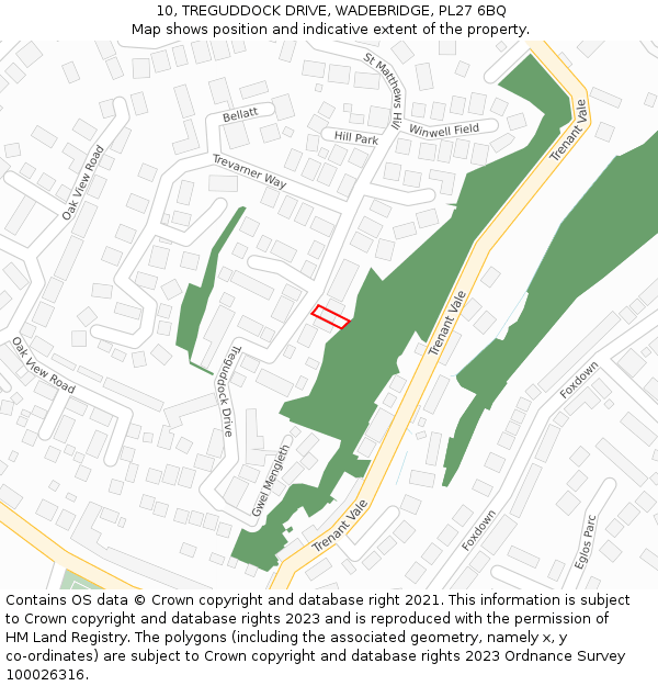 10, TREGUDDOCK DRIVE, WADEBRIDGE, PL27 6BQ: Location map and indicative extent of plot
