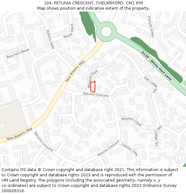 104, PETUNIA CRESCENT, CHELMSFORD, CM1 6YR: Location map and indicative extent of plot