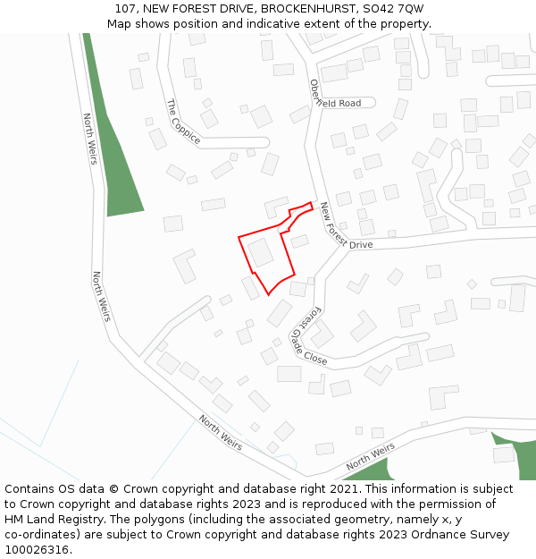 107, NEW FOREST DRIVE, BROCKENHURST, SO42 7QW: Location map and indicative extent of plot
