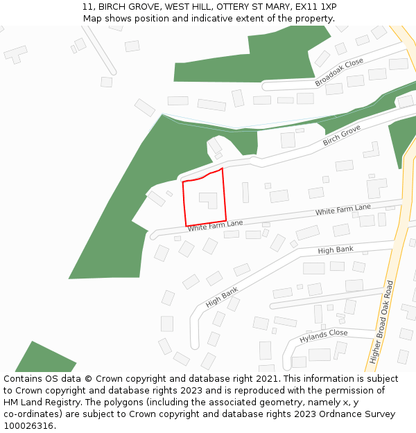 11, BIRCH GROVE, WEST HILL, OTTERY ST MARY, EX11 1XP: Location map and indicative extent of plot