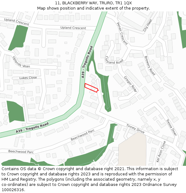 11, BLACKBERRY WAY, TRURO, TR1 1QX: Location map and indicative extent of plot