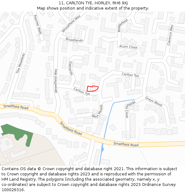 11, CARLTON TYE, HORLEY, RH6 9XJ: Location map and indicative extent of plot