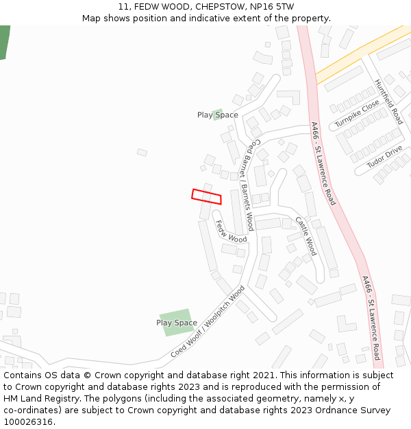 11, FEDW WOOD, CHEPSTOW, NP16 5TW: Location map and indicative extent of plot