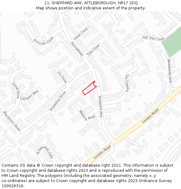 11, SHEPPARD WAY, ATTLEBOROUGH, NR17 2DQ: Location map and indicative extent of plot