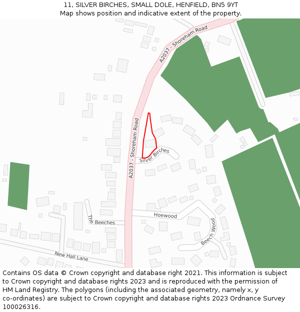 11, SILVER BIRCHES, SMALL DOLE, HENFIELD, BN5 9YT: Location map and indicative extent of plot