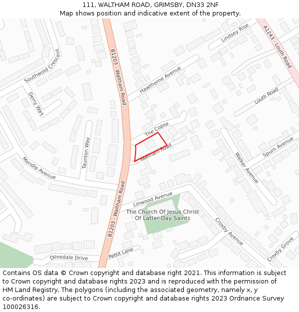 111, WALTHAM ROAD, GRIMSBY, DN33 2NF: Location map and indicative extent of plot