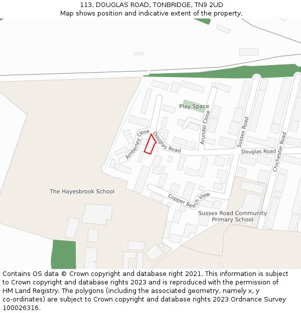 113, DOUGLAS ROAD, TONBRIDGE, TN9 2UD: Location map and indicative extent of plot