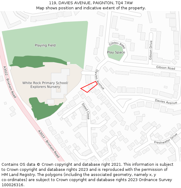 119, DAVIES AVENUE, PAIGNTON, TQ4 7AW: Location map and indicative extent of plot