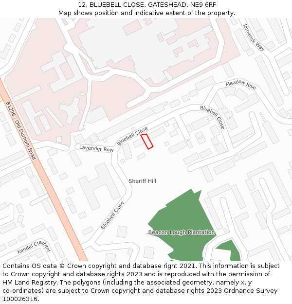 12, BLUEBELL CLOSE, GATESHEAD, NE9 6RF: Location map and indicative extent of plot