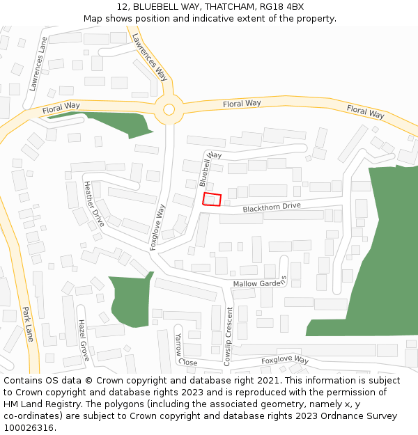 12, BLUEBELL WAY, THATCHAM, RG18 4BX: Location map and indicative extent of plot