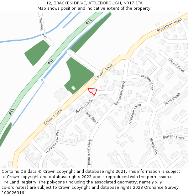 12, BRACKEN DRIVE, ATTLEBOROUGH, NR17 1TA: Location map and indicative extent of plot