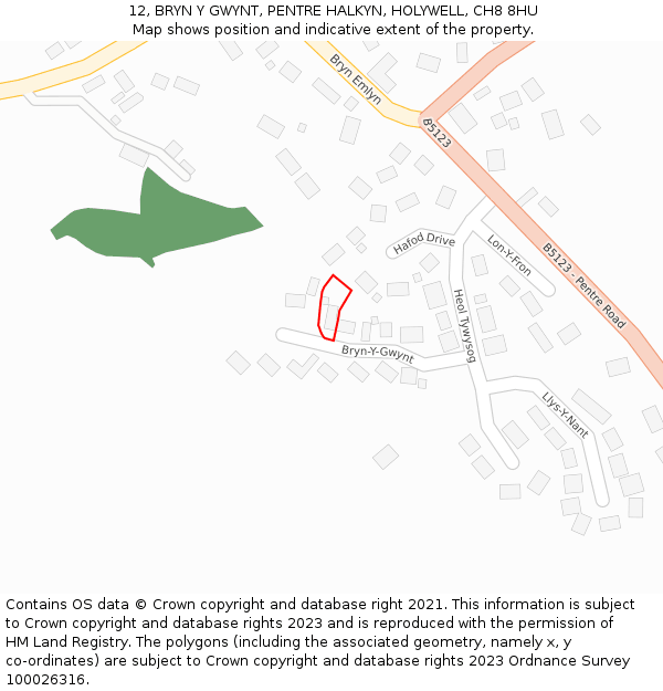 12, BRYN Y GWYNT, PENTRE HALKYN, HOLYWELL, CH8 8HU: Location map and indicative extent of plot