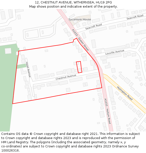 12, CHESTNUT AVENUE, WITHERNSEA, HU19 2PG: Location map and indicative extent of plot