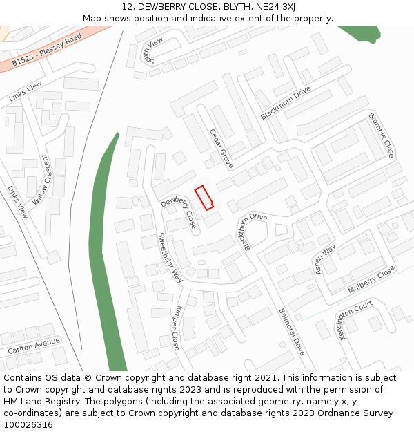 12, DEWBERRY CLOSE, BLYTH, NE24 3XJ: Location map and indicative extent of plot