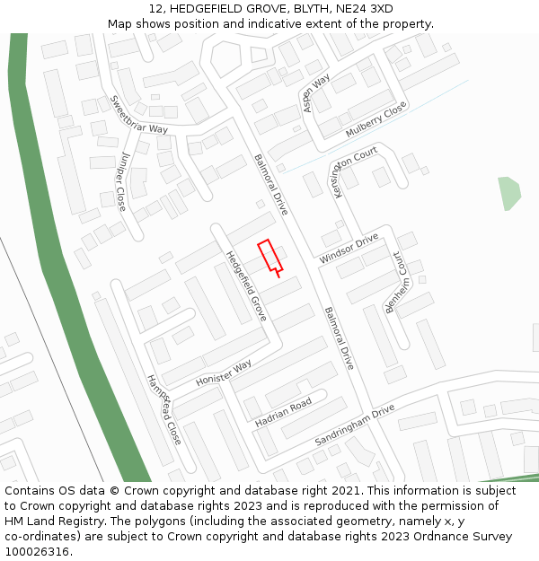 12, HEDGEFIELD GROVE, BLYTH, NE24 3XD: Location map and indicative extent of plot