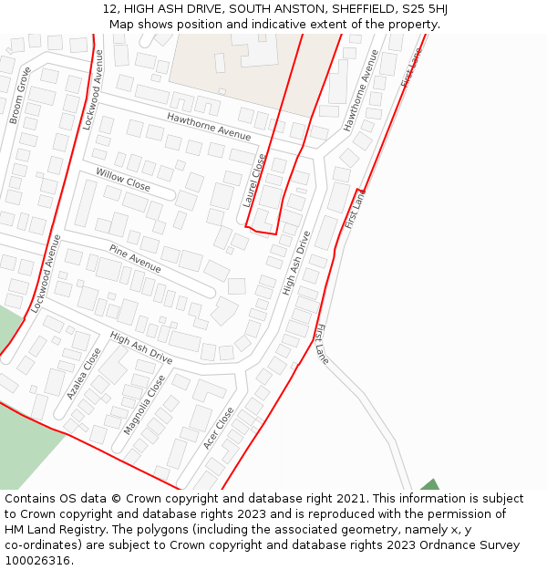 12, HIGH ASH DRIVE, SOUTH ANSTON, SHEFFIELD, S25 5HJ: Location map and indicative extent of plot