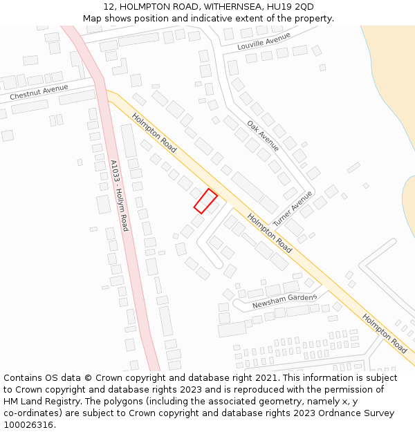 12, HOLMPTON ROAD, WITHERNSEA, HU19 2QD: Location map and indicative extent of plot