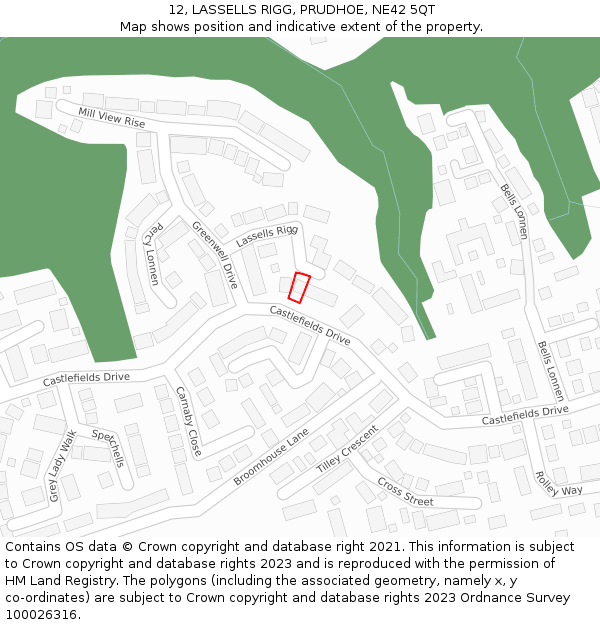 12, LASSELLS RIGG, PRUDHOE, NE42 5QT: Location map and indicative extent of plot