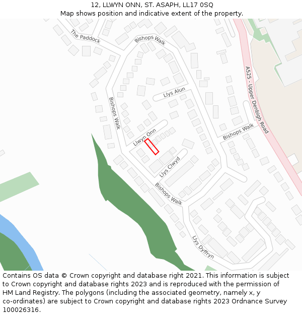 12, LLWYN ONN, ST. ASAPH, LL17 0SQ: Location map and indicative extent of plot