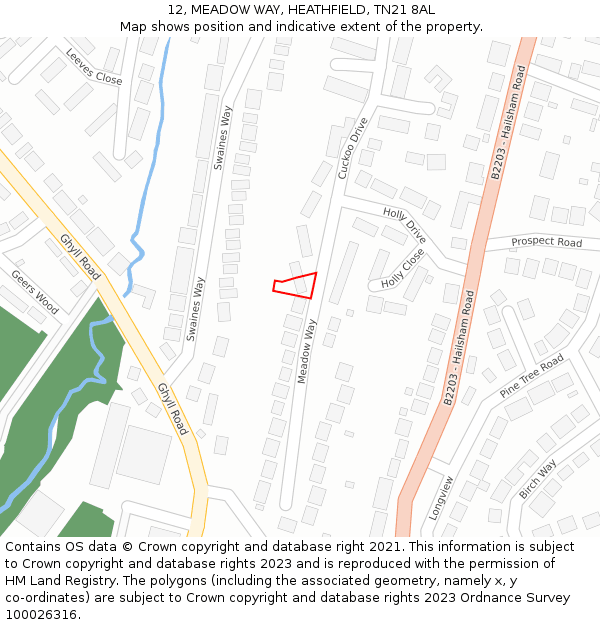 12, MEADOW WAY, HEATHFIELD, TN21 8AL: Location map and indicative extent of plot