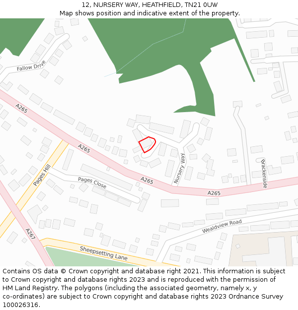 12, NURSERY WAY, HEATHFIELD, TN21 0UW: Location map and indicative extent of plot