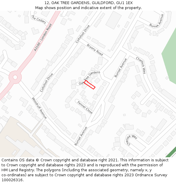 12, OAK TREE GARDENS, GUILDFORD, GU1 1EX: Location map and indicative extent of plot