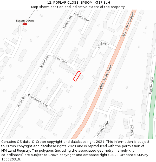 12, POPLAR CLOSE, EPSOM, KT17 3LH: Location map and indicative extent of plot