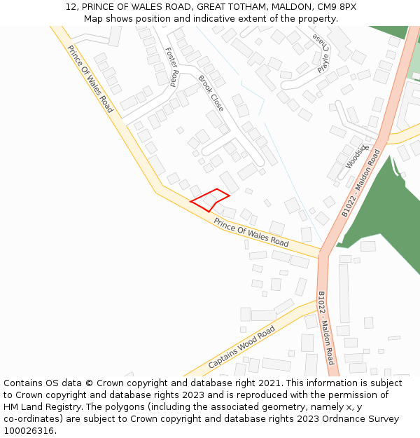 12, PRINCE OF WALES ROAD, GREAT TOTHAM, MALDON, CM9 8PX: Location map and indicative extent of plot