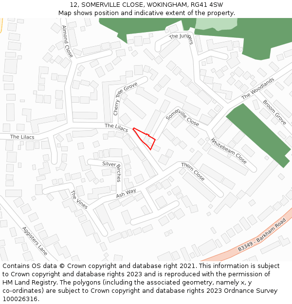 12, SOMERVILLE CLOSE, WOKINGHAM, RG41 4SW: Location map and indicative extent of plot