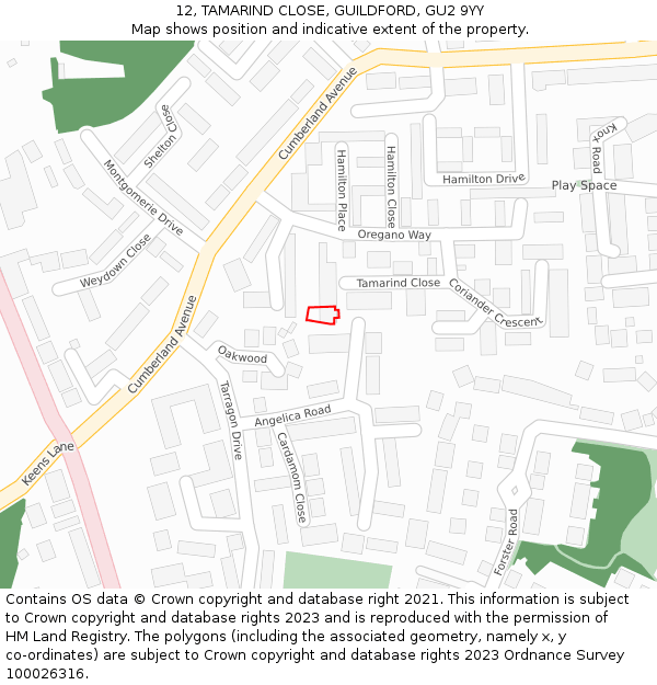 12, TAMARIND CLOSE, GUILDFORD, GU2 9YY: Location map and indicative extent of plot