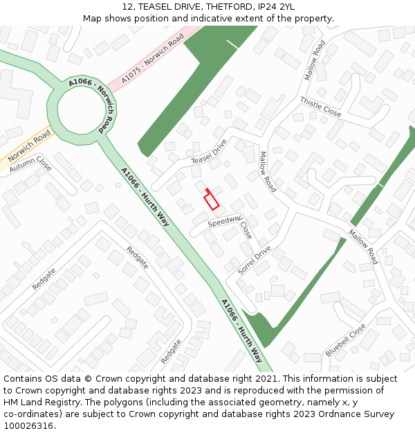 12, TEASEL DRIVE, THETFORD, IP24 2YL: Location map and indicative extent of plot