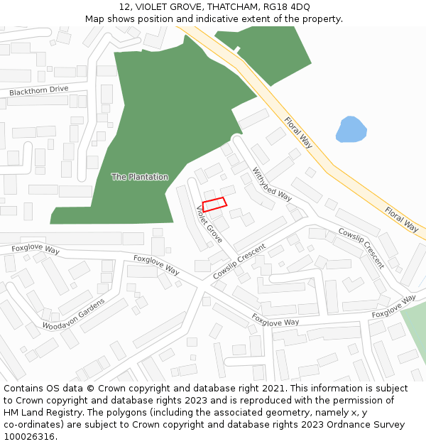 12, VIOLET GROVE, THATCHAM, RG18 4DQ: Location map and indicative extent of plot