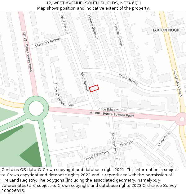 12, WEST AVENUE, SOUTH SHIELDS, NE34 6QU: Location map and indicative extent of plot