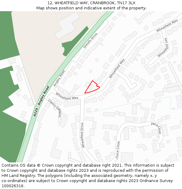 12, WHEATFIELD WAY, CRANBROOK, TN17 3LX: Location map and indicative extent of plot