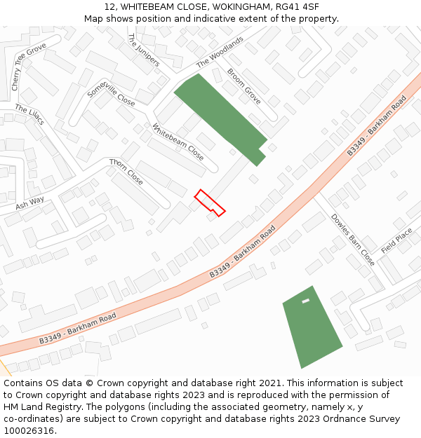 12, WHITEBEAM CLOSE, WOKINGHAM, RG41 4SF: Location map and indicative extent of plot