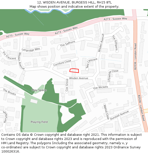 12, WISDEN AVENUE, BURGESS HILL, RH15 8TL: Location map and indicative extent of plot