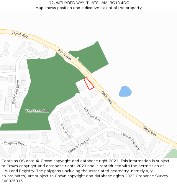 12, WITHYBED WAY, THATCHAM, RG18 4DG: Location map and indicative extent of plot