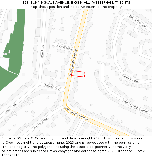 123, SUNNINGVALE AVENUE, BIGGIN HILL, WESTERHAM, TN16 3TS: Location map and indicative extent of plot