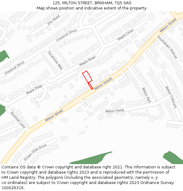 125, MILTON STREET, BRIXHAM, TQ5 0AS: Location map and indicative extent of plot