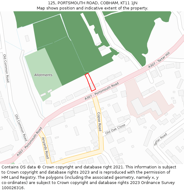 125, PORTSMOUTH ROAD, COBHAM, KT11 1JN: Location map and indicative extent of plot