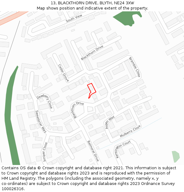 13, BLACKTHORN DRIVE, BLYTH, NE24 3XW: Location map and indicative extent of plot