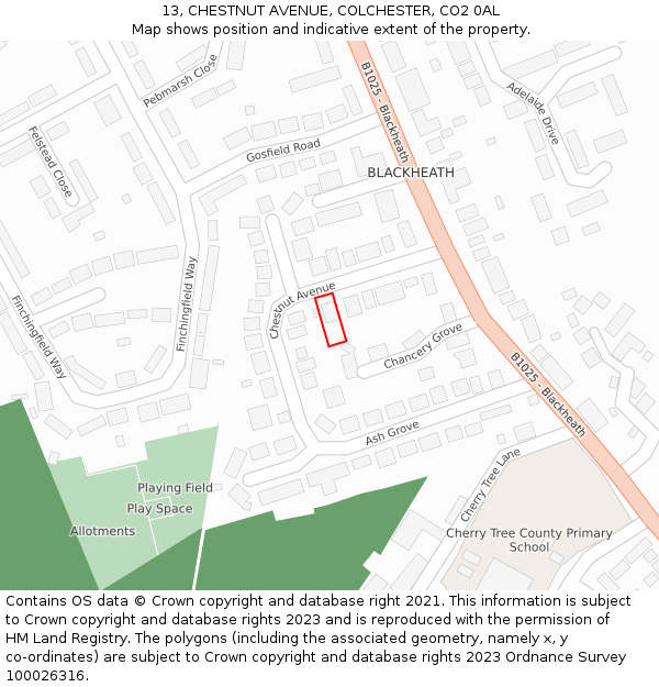 13, CHESTNUT AVENUE, COLCHESTER, CO2 0AL: Location map and indicative extent of plot