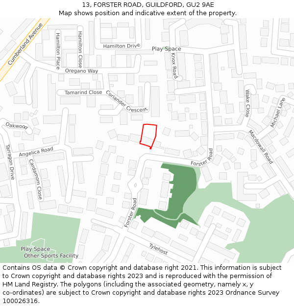 13, FORSTER ROAD, GUILDFORD, GU2 9AE: Location map and indicative extent of plot