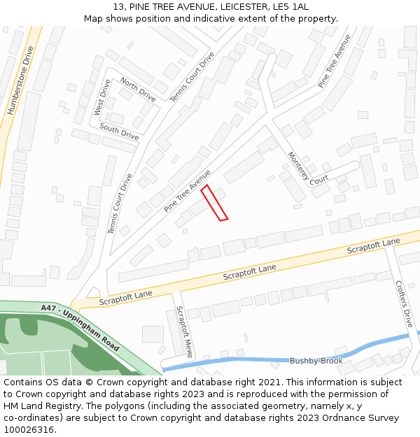 13, PINE TREE AVENUE, LEICESTER, LE5 1AL: Location map and indicative extent of plot