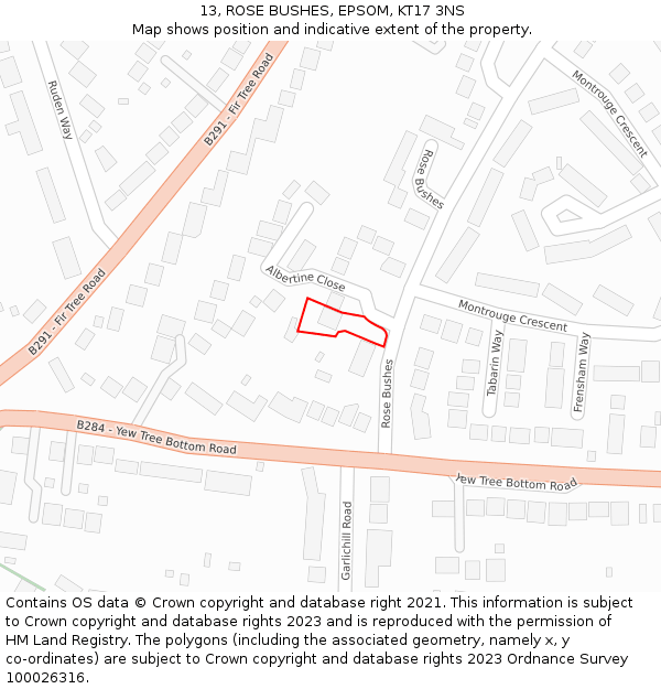 13, ROSE BUSHES, EPSOM, KT17 3NS: Location map and indicative extent of plot