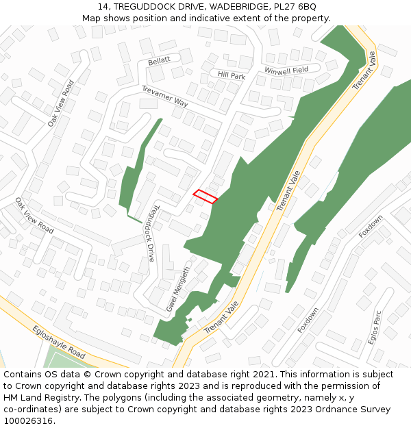 14, TREGUDDOCK DRIVE, WADEBRIDGE, PL27 6BQ: Location map and indicative extent of plot