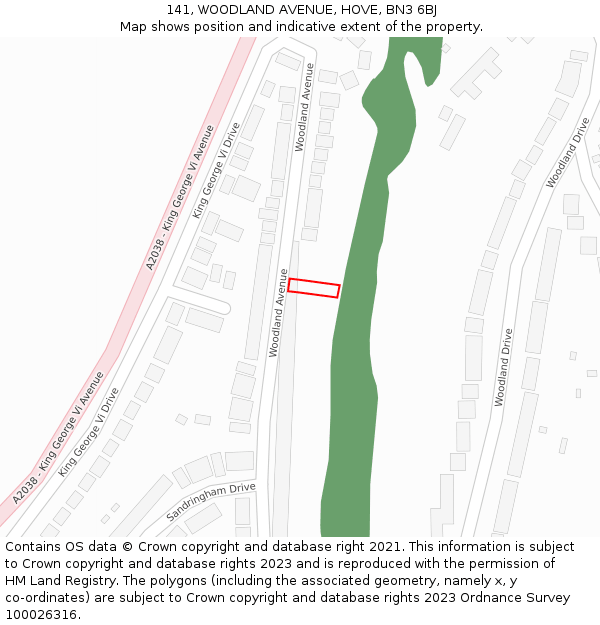 141, WOODLAND AVENUE, HOVE, BN3 6BJ: Location map and indicative extent of plot